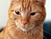 View full size picture