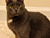 View full size picture