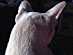 View full size picture