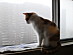 View full size picture