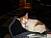 View full size picture