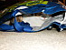 View full size picture