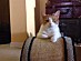 View full size picture