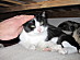 View full size picture