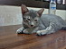 View full size picture