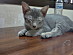 View full size picture