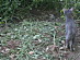 View full size picture