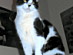 View full size picture