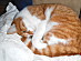 View full size picture