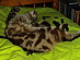 View full size picture