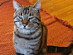 View full size picture