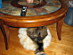 View full size picture