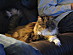View full size picture