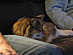 View full size picture