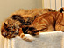 View full size picture