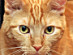 View full size picture