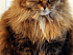 View full size picture
