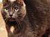 View full size picture