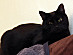 View full size picture