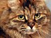 View full size picture