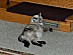 View full size picture