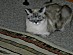 View full size picture