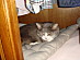 View full size picture