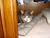 View full size picture