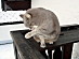 View full size picture