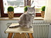 View full size picture