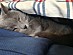 View full size picture