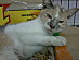View full size picture