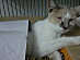 View full size picture