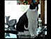 View full size picture