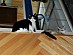 View full size picture