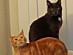 View full size picture