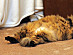 View full size picture
