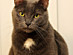 View full size picture