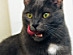 View full size picture