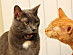 View full size picture