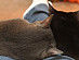 View full size picture