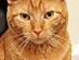 View full size picture
