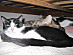 View full size picture