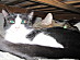 View full size picture