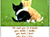 View full size picture