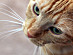 View full size picture