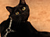 View full size picture