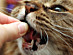 View full size picture