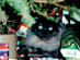 View full size picture