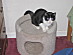 View full size picture